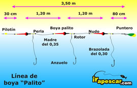  LINEA DOBLE PALITO 